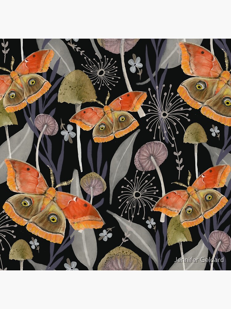 Midnight Moth by JenniferGeldard