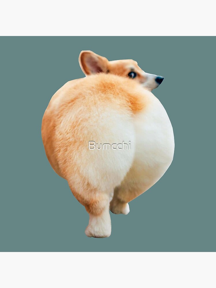 Corgi Butt by Bumcchi