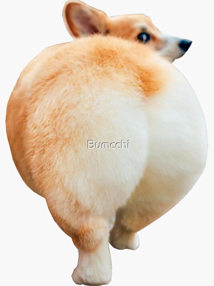 Corgi Butt by Bumcchi