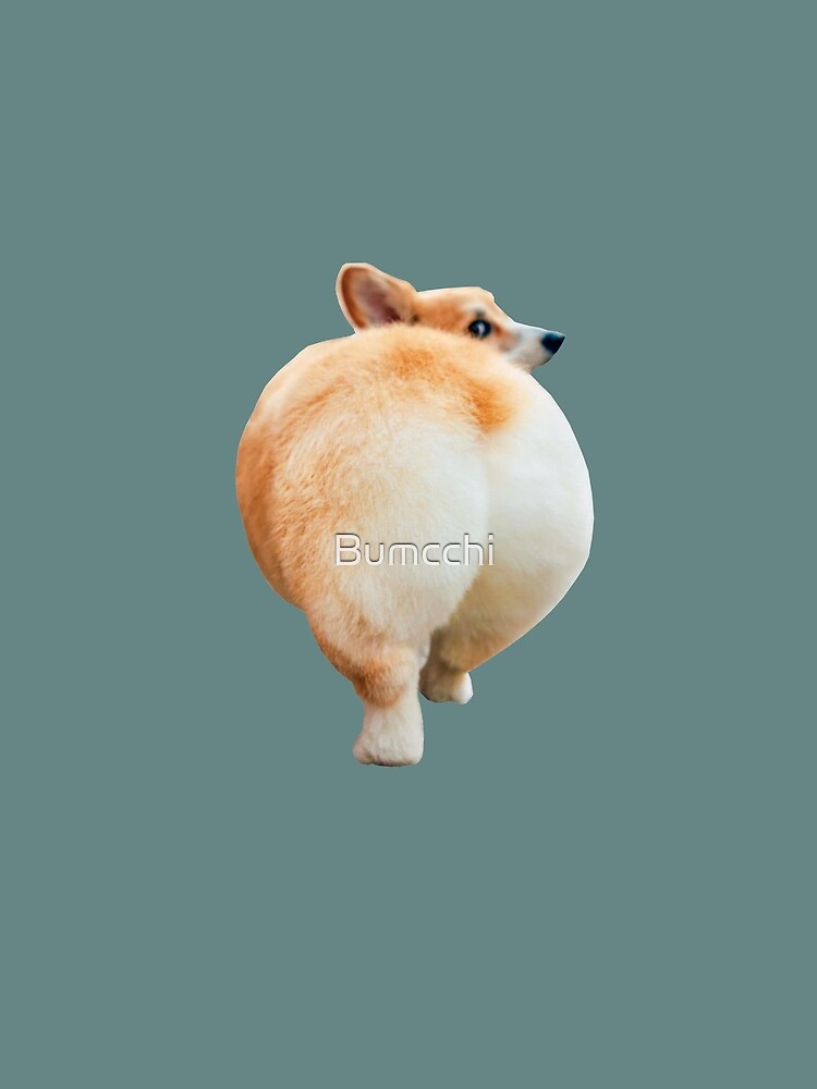 Corgi Butt by Bumcchi