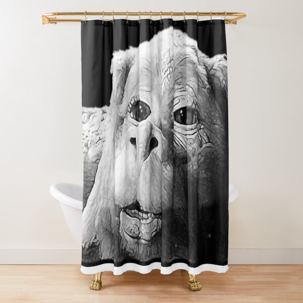 Falkor The Luck Dragon From The Neverending Story Design Shower Curtain