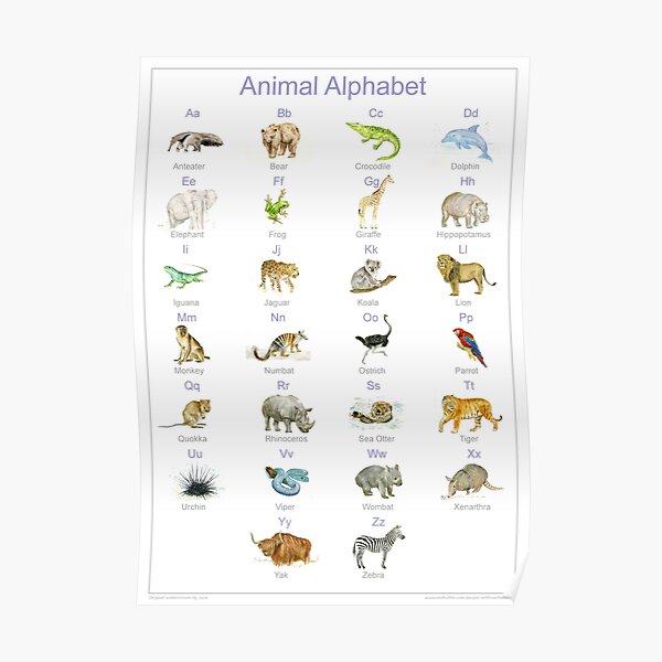 Animal Alphabet Posters | Redbubble