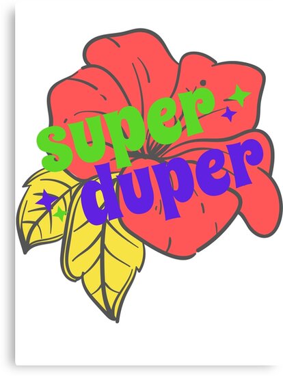 does superduper work with big sur