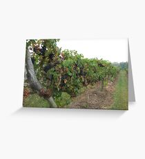 Winery Greeting Card
