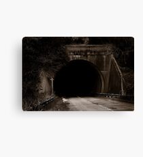 Into the darkness Canvas Print