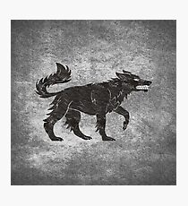 Direwolf Photographic Print