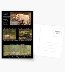 Legend of the Spirit Bear Postcards