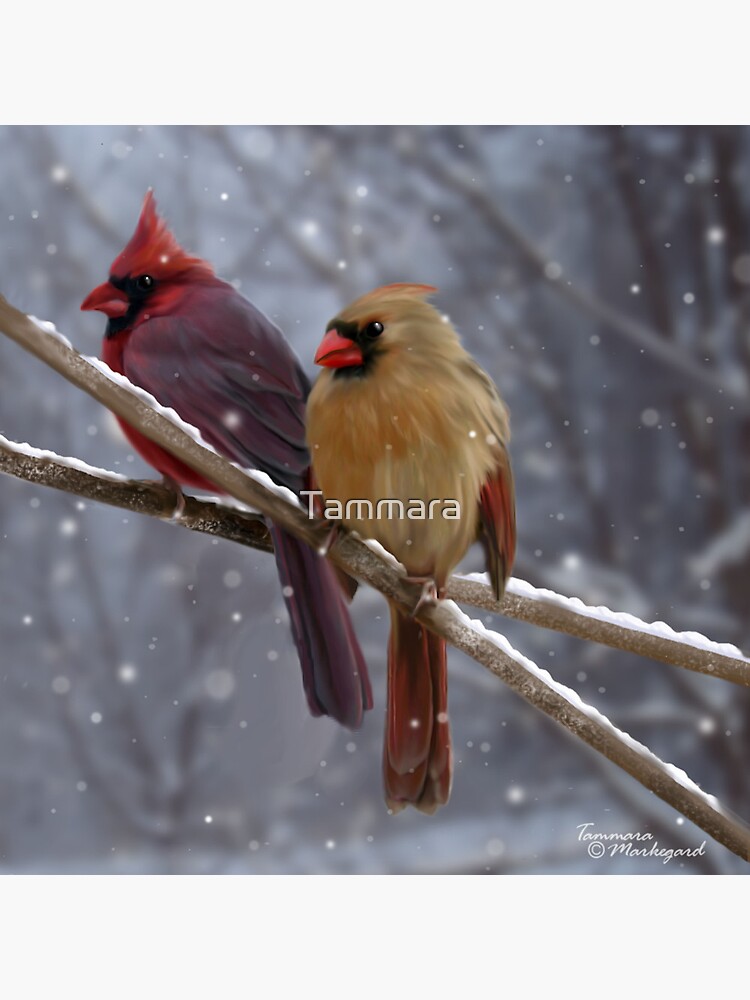 Morning Song by Tammara