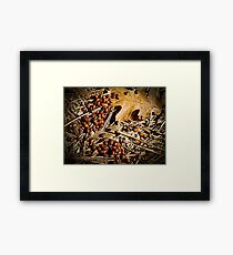 Lady Bug Splendor Framed Print