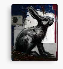 Giant Rabbit, By ROA Canvas Print