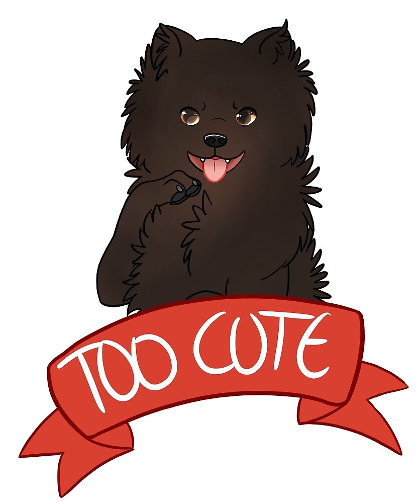 Adorable Pomerania Negro