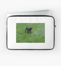 black lab puppy Laptop Sleeve