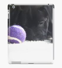 black lab puppy iPad Case/Skin