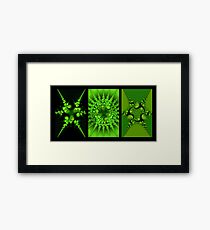 Leprechaun Paradise Framed Print