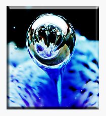 Blowing Bubbles Photographic Print