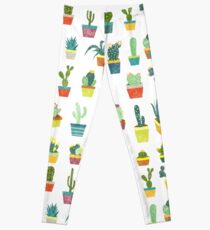 Succulents Leggings