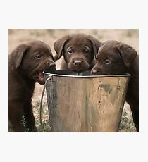 The Bucket Brigade Photographic Print