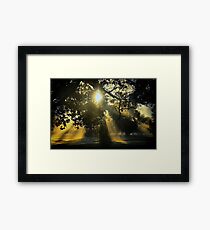Genesis Framed Print