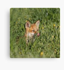 Zeal Canvas Print