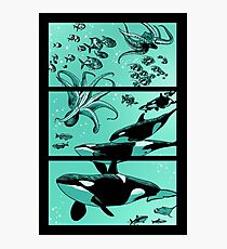 High Water Photographic Print