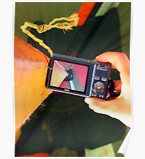 Look Through My Lens Poster
