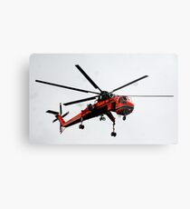 The Flying Gnat Metal Print