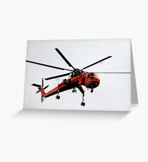 The Flying Gnat Greeting Card