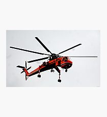 The Flying Gnat Photographic Print