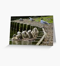 Me and my brothers Greeting Card