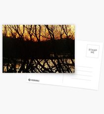 dark horizon at dusk Postcards