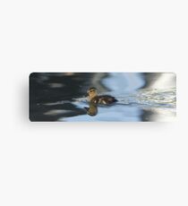The Adventurer Canvas Print