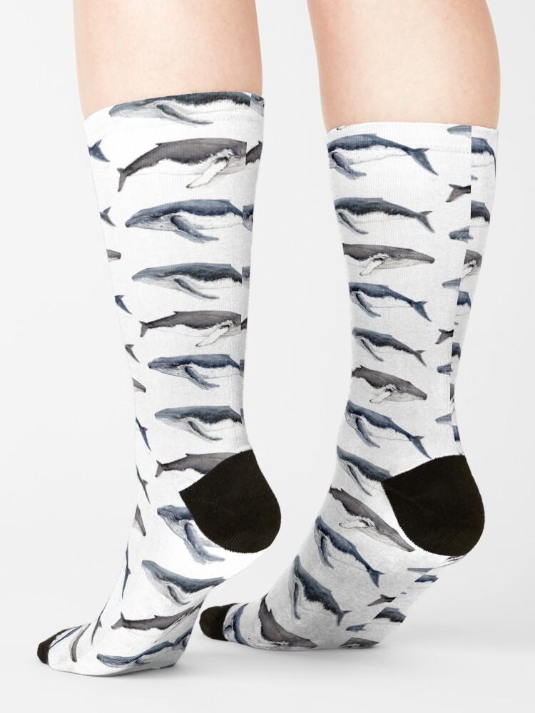Alternate view of Humpback whales (Megaptera novaeangliae) Socks