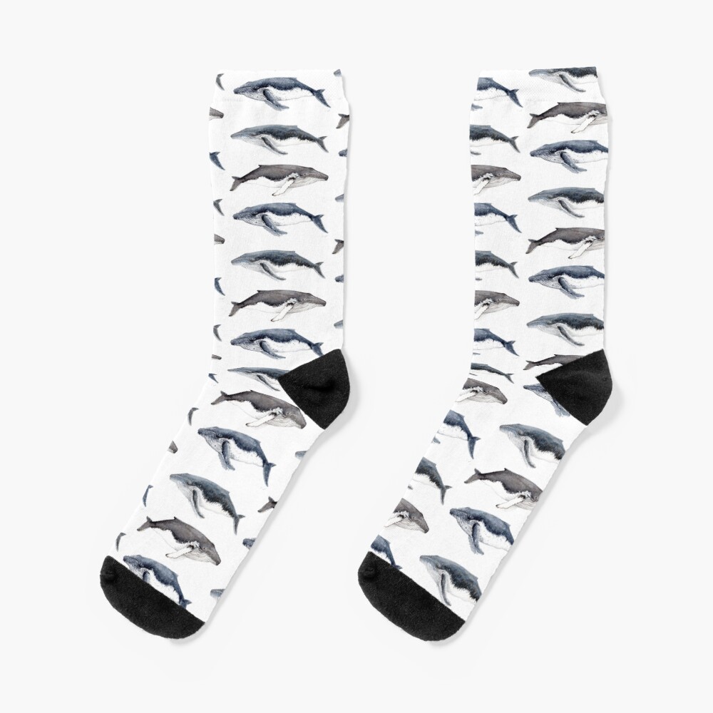 Humpback whales (Megaptera novaeangliae) Socks