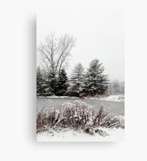 Winter Pond Canvas Print