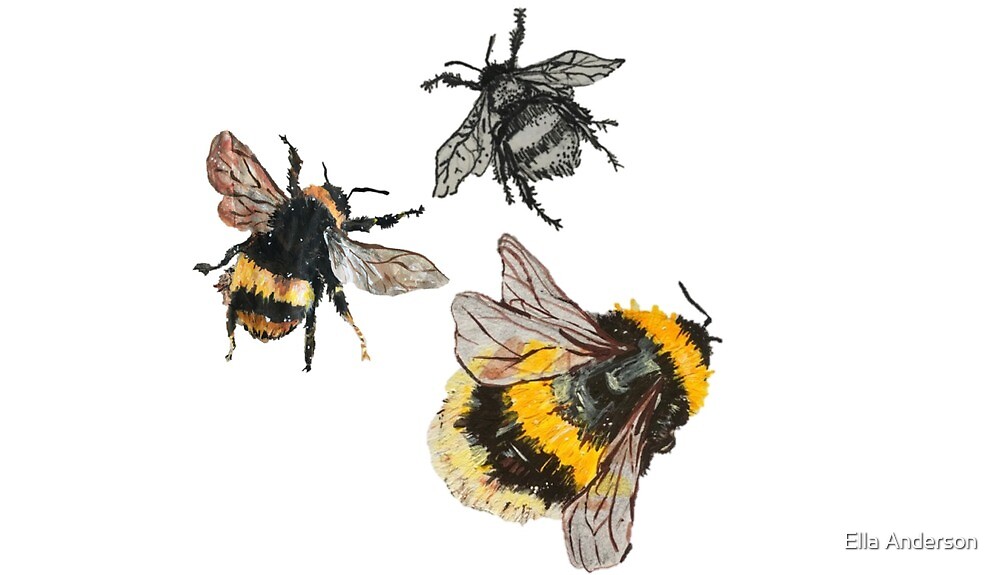 Asthetische Bienen Suss Gemalt Von D19sapphire15 Redbubble