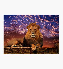 The Great One Photographic Print
