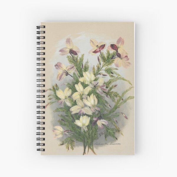 Western Australia wild flower Yellow Leschenaultia - Lechenaultia linarioides State Library of Western Australia Spiral Notebook