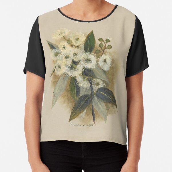 Western Australia wild flower Marri - Eucalyptus calophylla State Library of Western Australia Chiffon Top