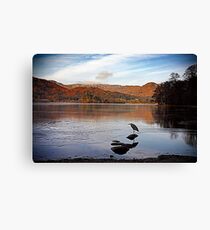 Heron Canvas Print