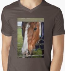 LOOKING THROUGH THE FENCE Men's V-Neck T-Shirt