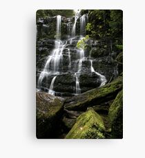 Nelson Falls, Tasmania, Australia Canvas Print