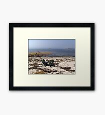 Time Out on a Beach Framed Print