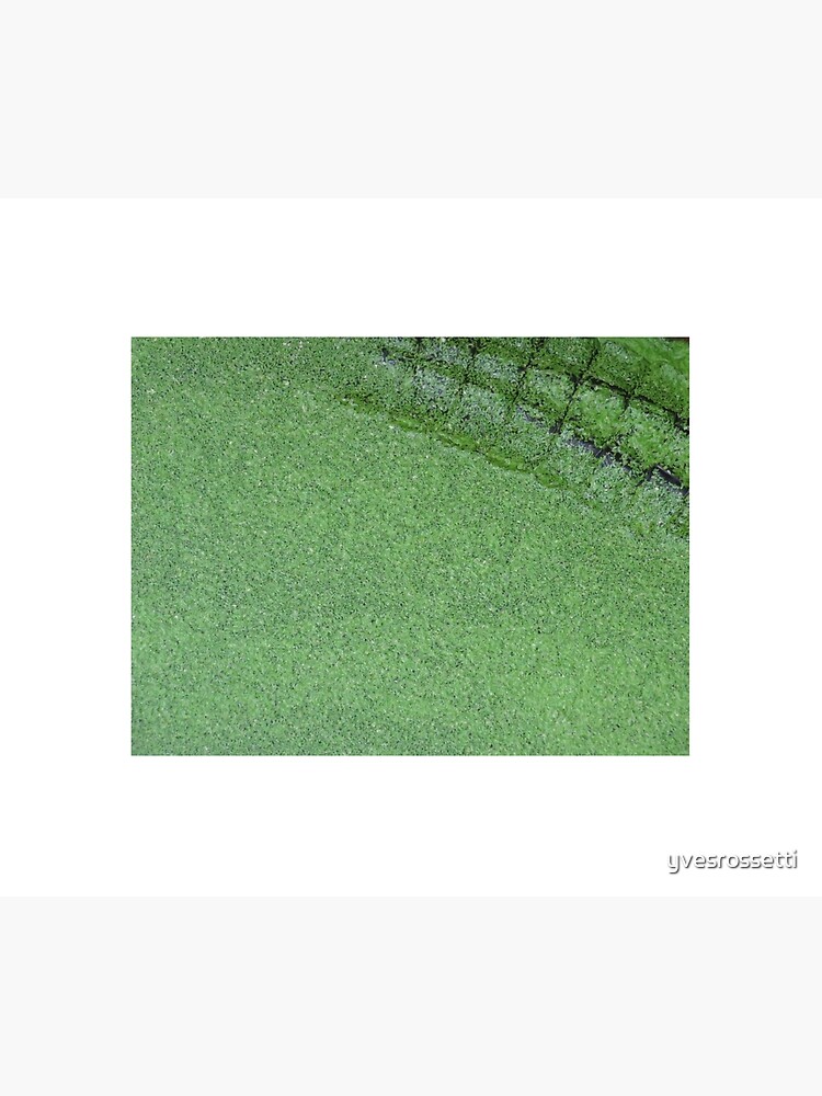 Crocovert by yvesrossetti
