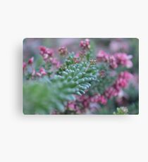 Pink Flowers Canvas Print