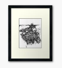 ravine Framed Print