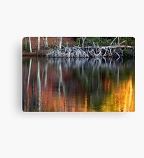 Spirit of a Down'd Oak Tree Canvas Print