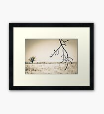 OnePhotoPerDay Series: 349 by L. Framed Print