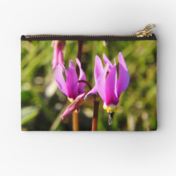 Shooting Stars Zipper Pouch