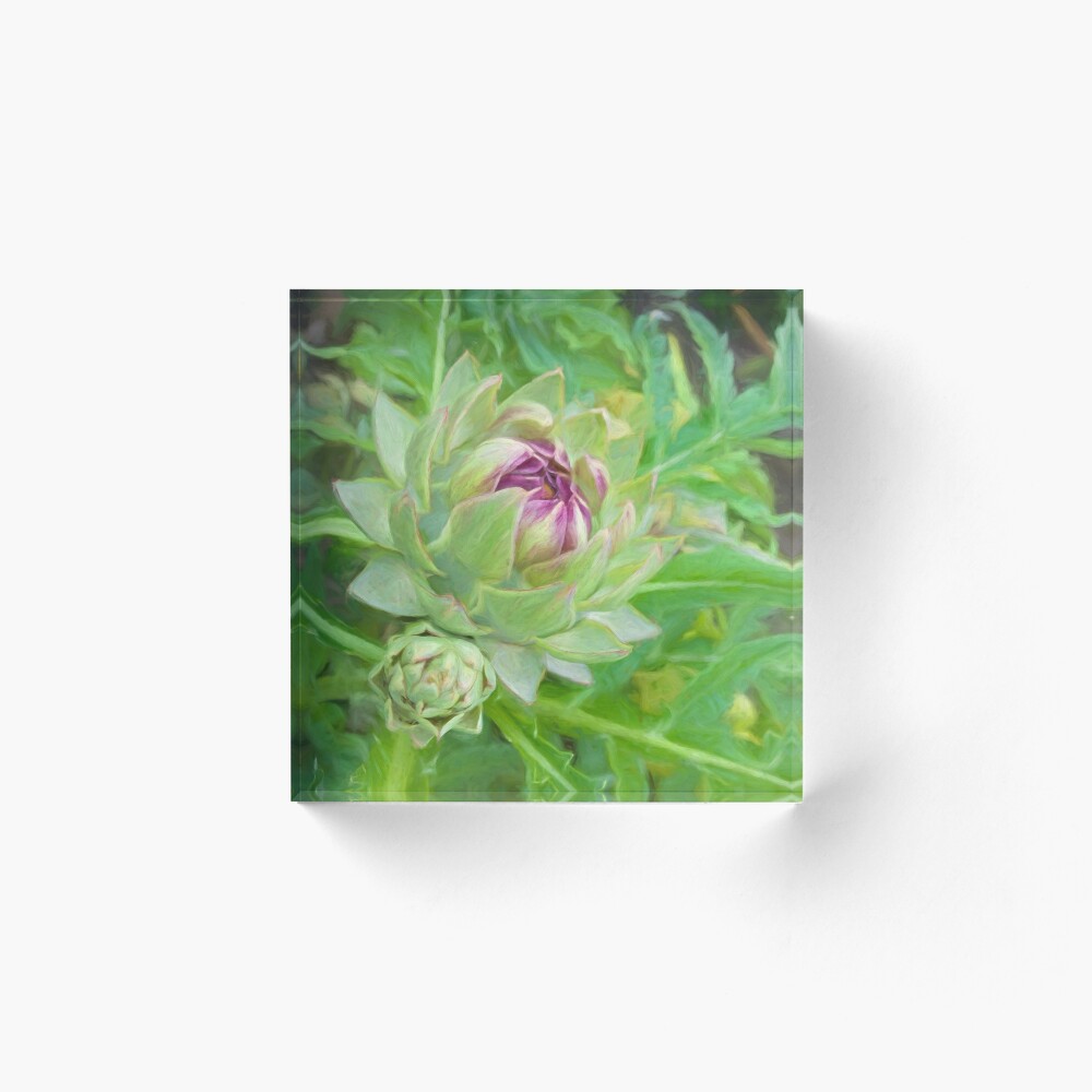 Arty-choke with sidekick Acrylic Block