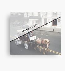 New York Horse and Carriage Canvas Print